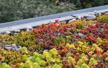 the cost of Abertysswg green roof installation