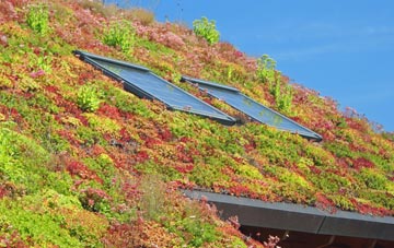 Abertysswg living roof systems