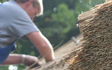 professional Abertysswg thatchers